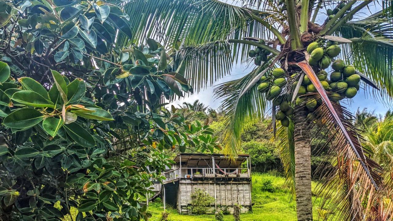 Guanaja Backpackers Hostel 外观 照片