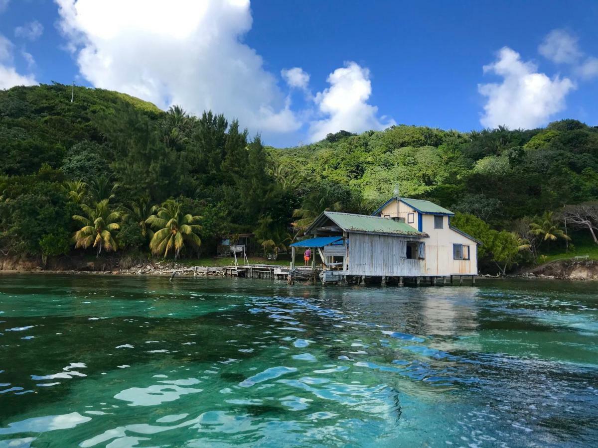Guanaja Backpackers Hostel 外观 照片