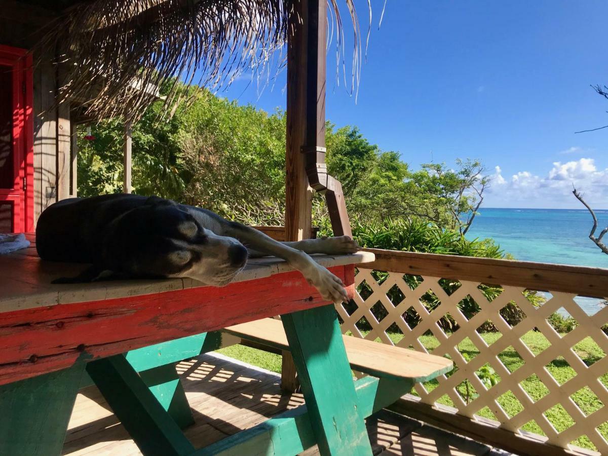 Guanaja Backpackers Hostel 外观 照片