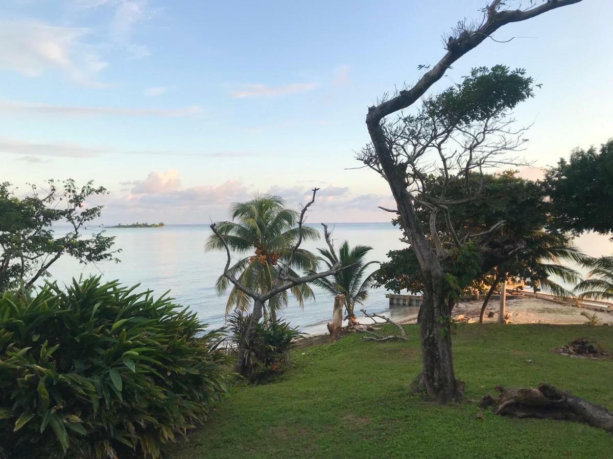 Guanaja Backpackers Hostel 外观 照片